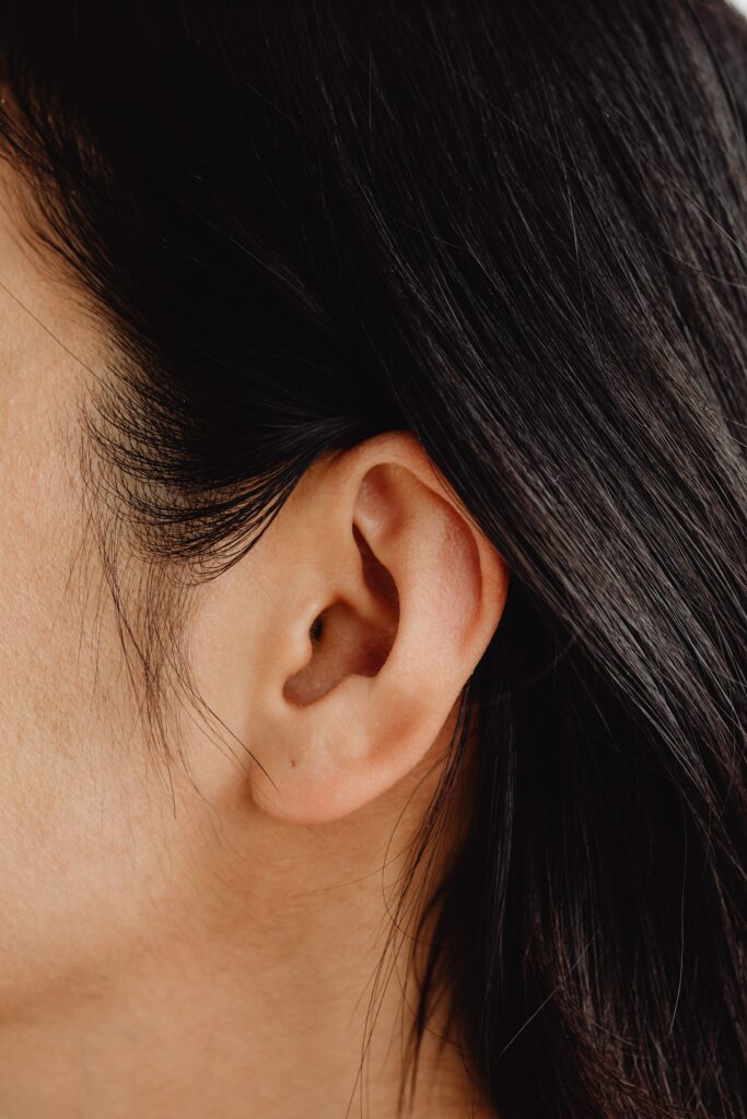 ljudsko uho
